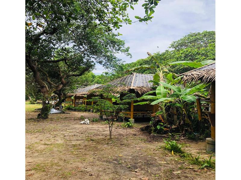 Chalee Tropicana Bungalow Koh Phayam Eksteriør billede